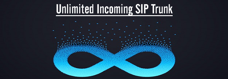 Unlimited Incoming SIP Trunk
